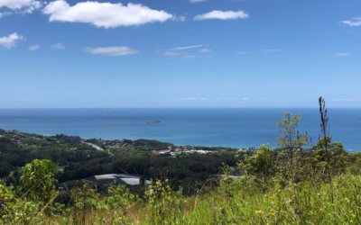 Sydney to Byron Bay Road Trip